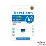 dataland-micro-sd